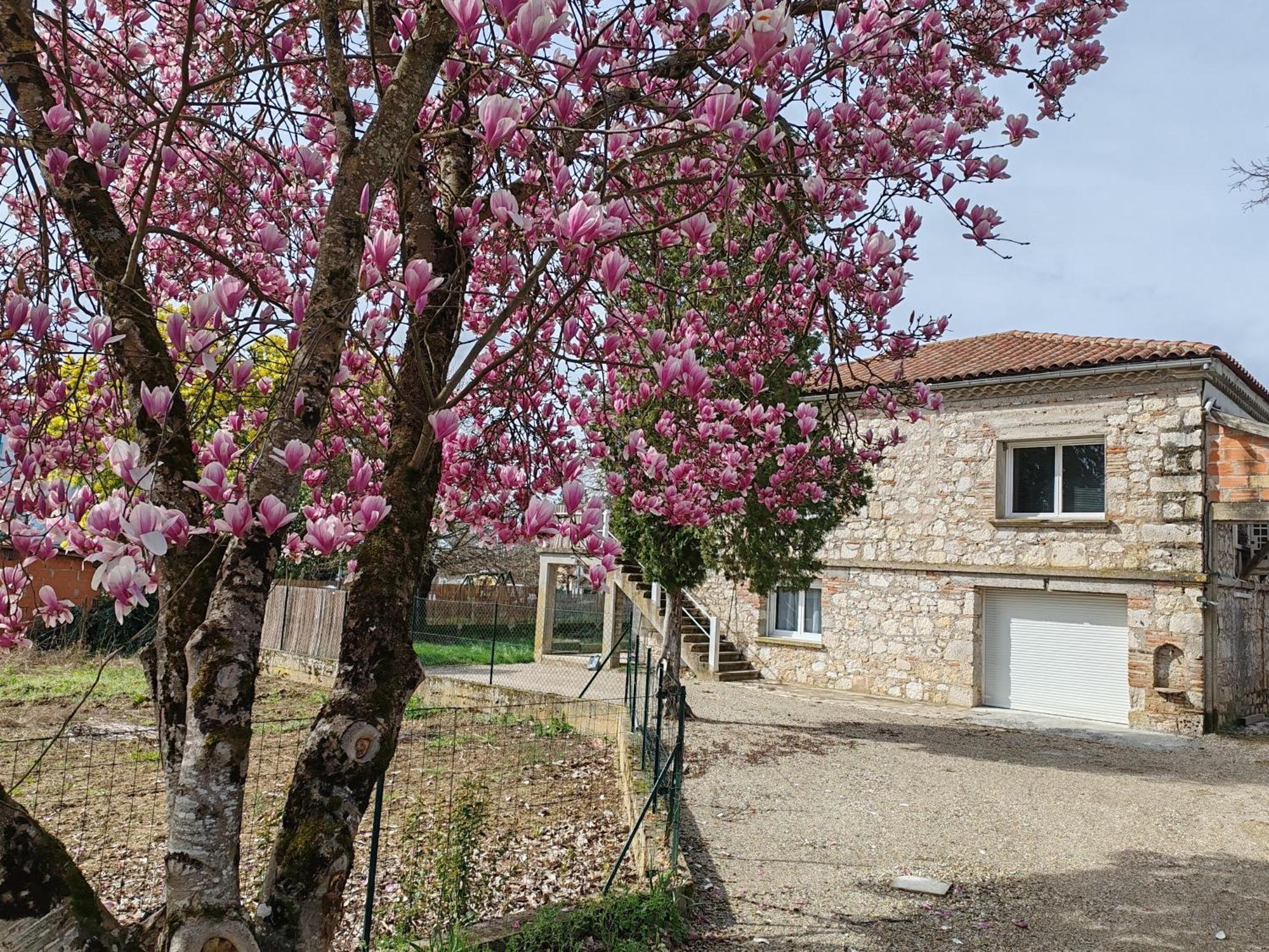 Appartement T3 Neuf Proche Centre Ville, Clim Et Parking Et Centrale Edf Valence  Zewnętrze zdjęcie